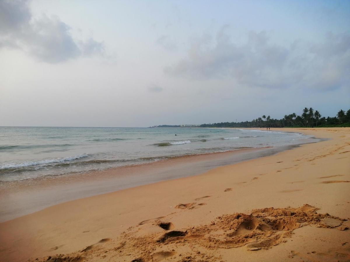 Neem Tree Ambalangoda อัมบาลังโกดา ภายนอก รูปภาพ